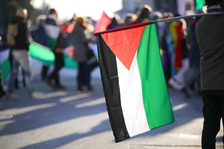 Palestine,Flag,In,Backlight,During,A,Protest,With,Many,People